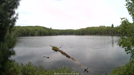Image from 2025-06-07