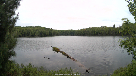 Image from 2025-06-07