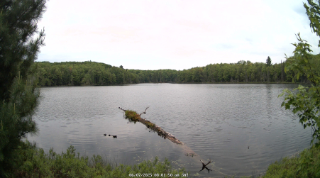 Image from 2025-06-07