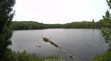 Image from 2025-06-07