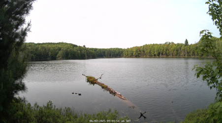 Image from 2025-06-07