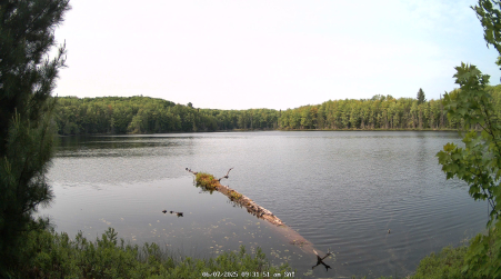 Image from 2025-06-07