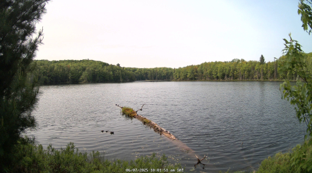 Image from 2025-06-07