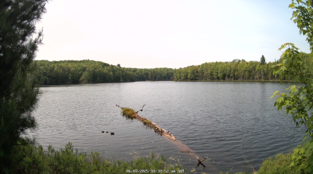 Image from 2025-06-07