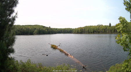 Image from 2025-06-07