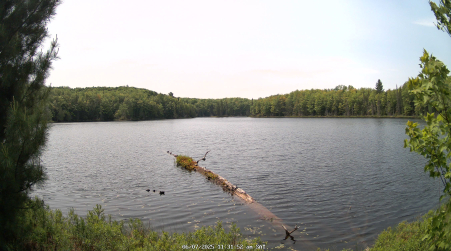 Image from 2025-06-07