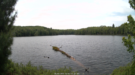 Image from 2025-06-07