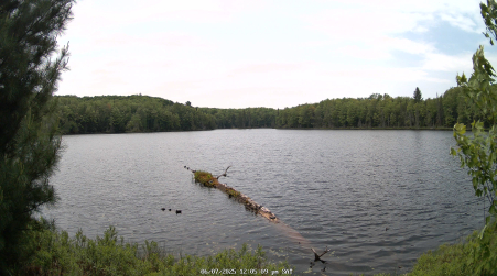 Image from 2025-06-07