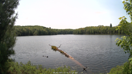 Image from 2025-06-07