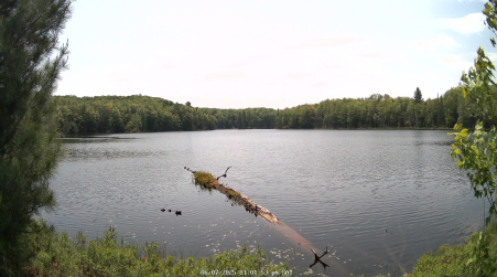 Image from 2025-06-07