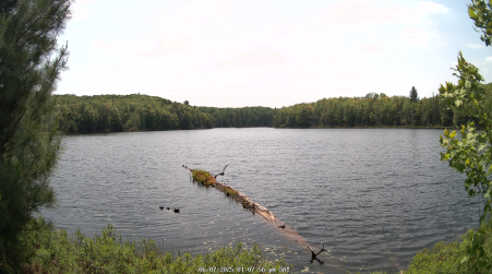 Image from 2025-06-07