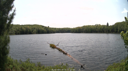Image from 2025-06-07