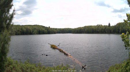 Image from 2025-06-07