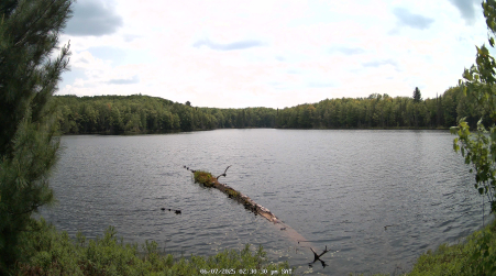 Image from 2025-06-07