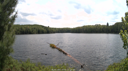 Image from 2025-06-07
