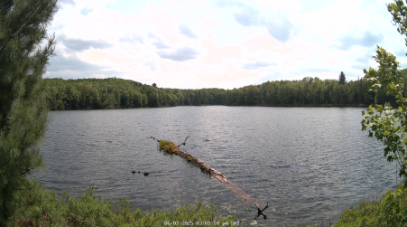 Image from 2025-06-07