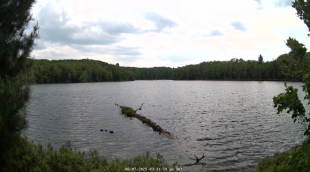 Image from 2025-06-07