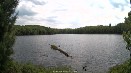 Image from 2025-06-07