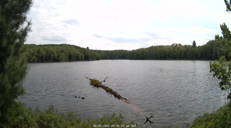 Image from 2025-06-07