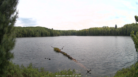 Image from 2025-06-07
