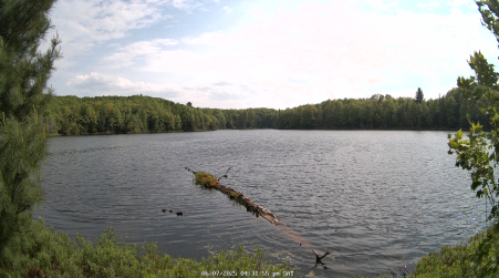 Image from 2025-06-07