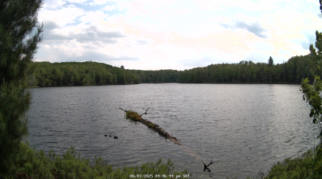 Image from 2025-06-07