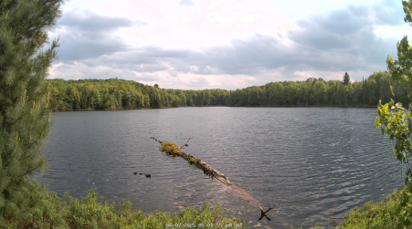 Image from 2025-06-07