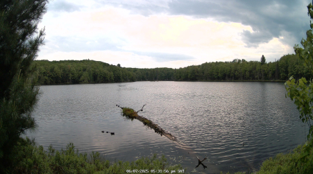 Image from 2025-06-07