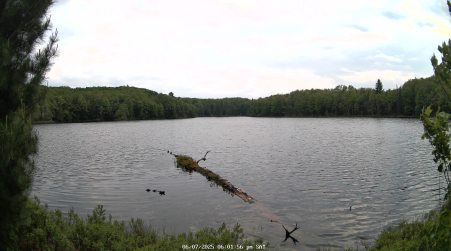 Image from 2025-06-07