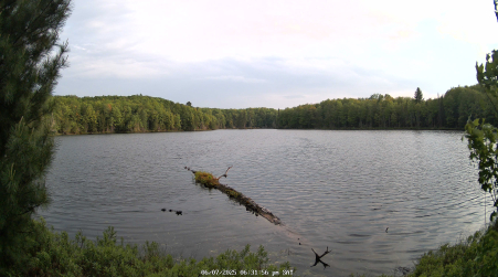 Image from 2025-06-07