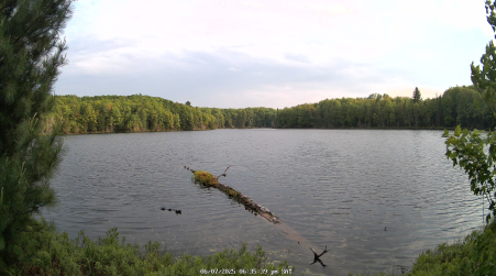 Image from 2025-06-07