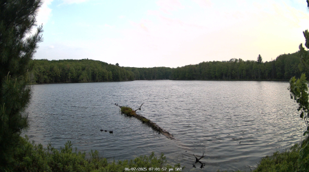 Image from 2025-06-07