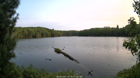 Image from 2025-06-07