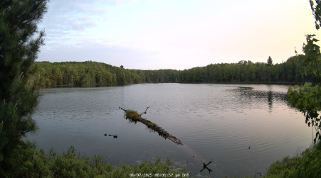 Image from 2025-06-07