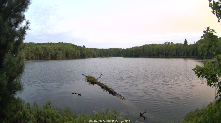 Image from 2025-06-07