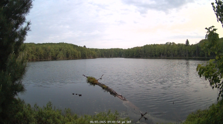 Image from 2025-06-07