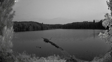 Image from 2025-06-07