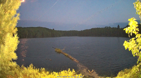 Image from 2025-06-07