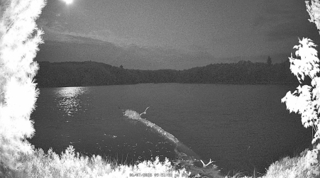 Image from 2025-06-07