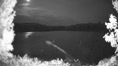 Image from 2025-06-07