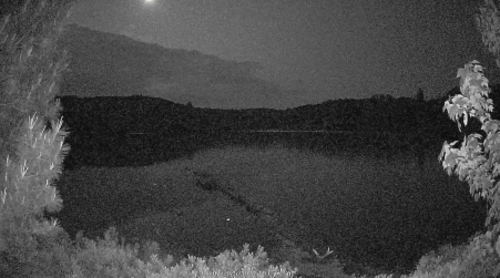 Image from 2025-06-07