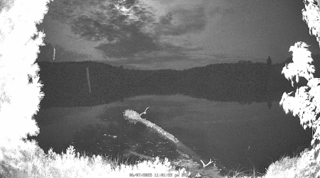 Image from 2025-06-07