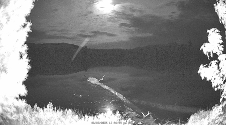 Image from 2025-06-07