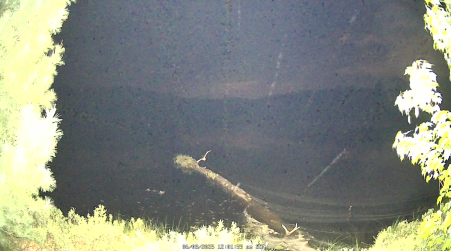 Image from 2025-06-08