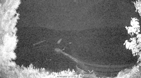 Image from 2025-06-08