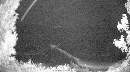 Image from 2025-06-08