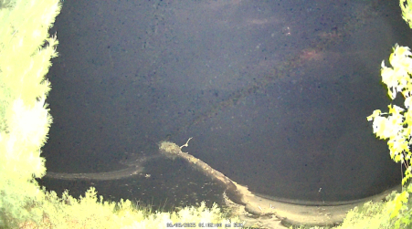 Image from 2025-06-08