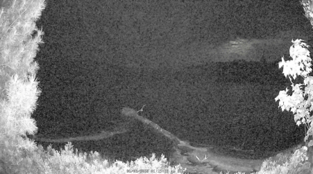 Image from 2025-06-08