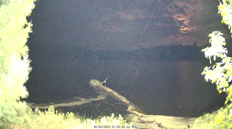 Image from 2025-06-08