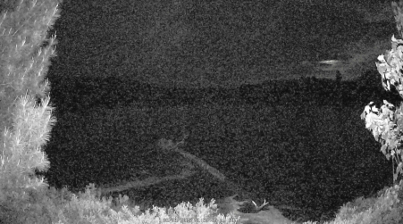 Image from 2025-06-08